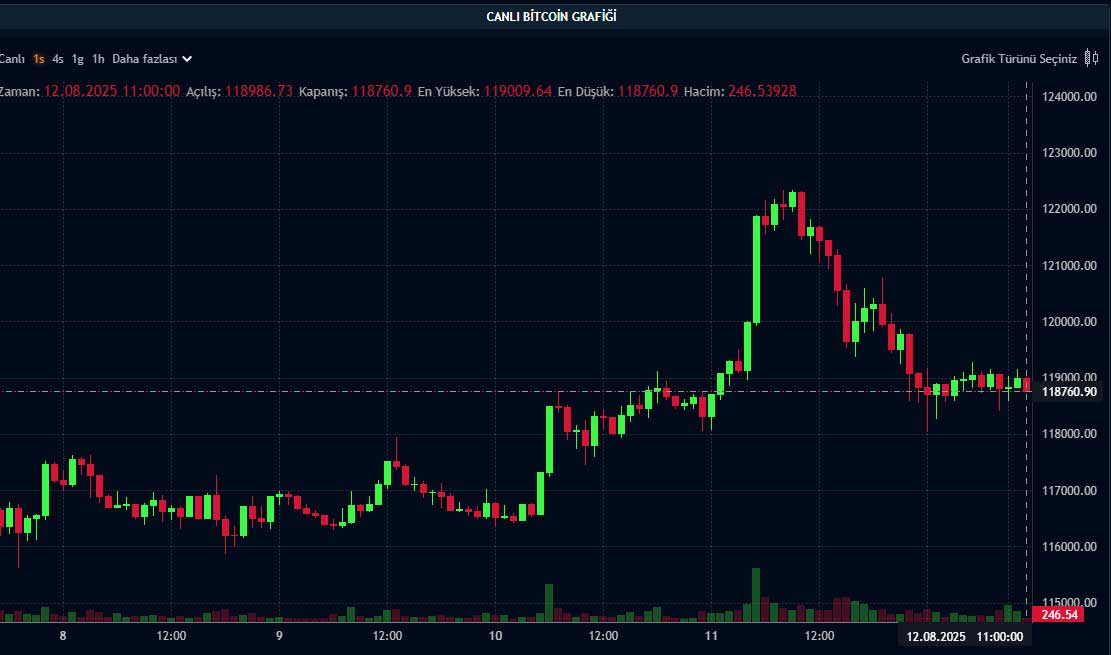 BTC fiyat grafiği