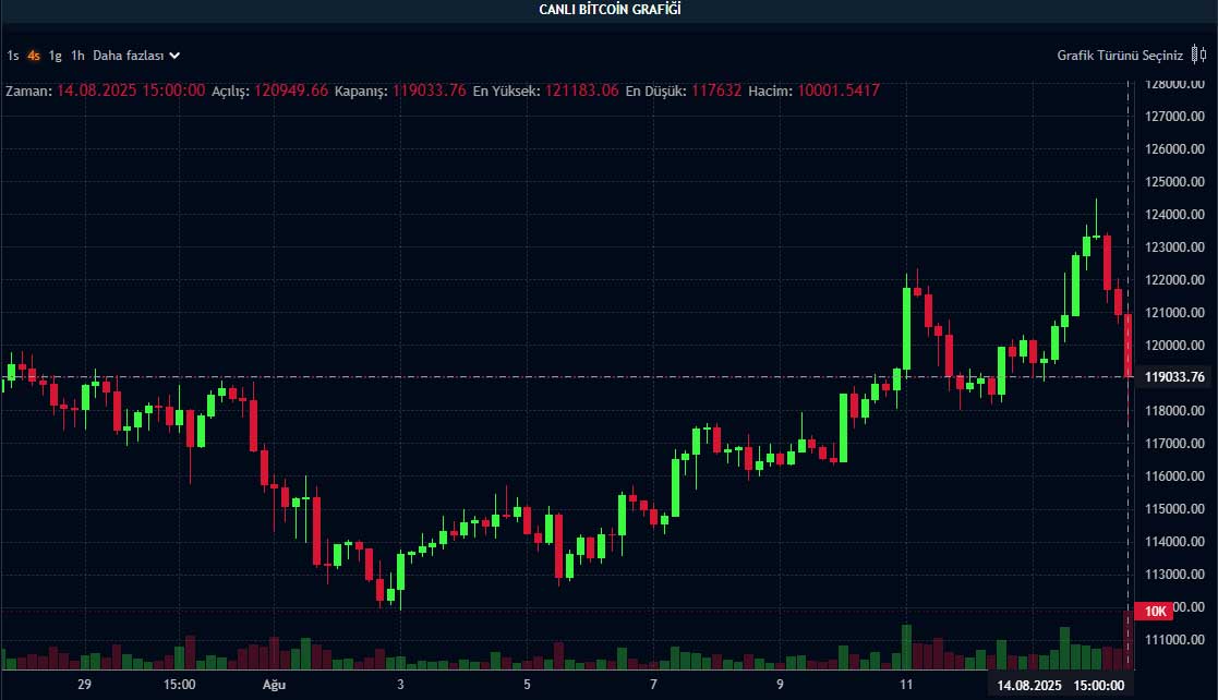 BTC fiyat grafiği