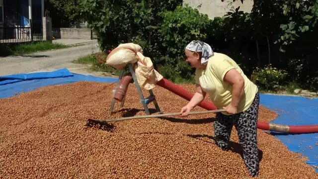 Saatlik ücretleri 4 bin 500 TL! Gece gündüz demeden çalışıyorlar